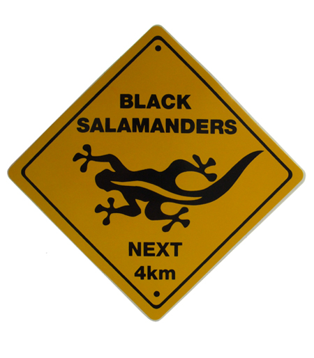 OZ120 M AMBER by Black Salamander